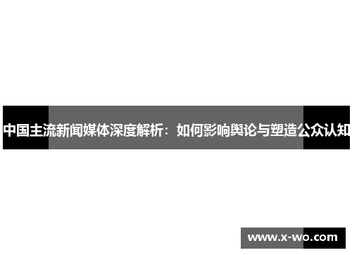 中国主流新闻媒体深度解析：如何影响舆论与塑造公众认知